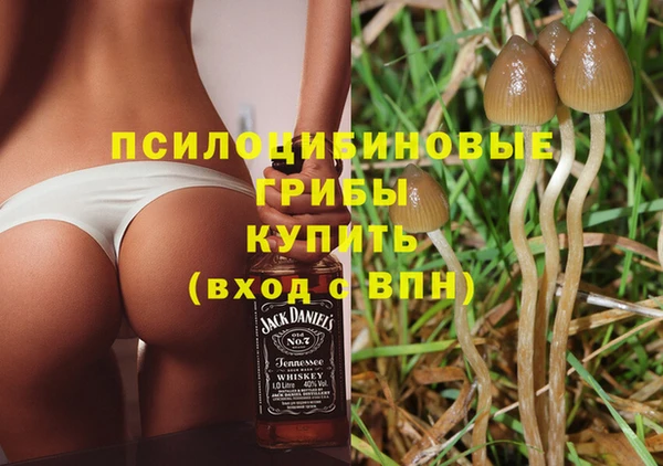 кристаллы Абаза