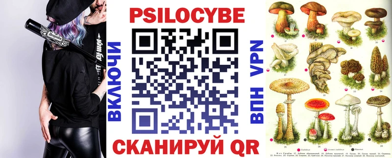 Галлюциногенные грибы Psilocybine cubensis  Энгельс 